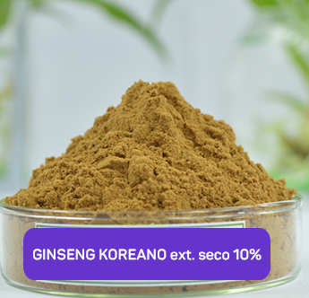 GINSENG KOREANO ext. seco 10%